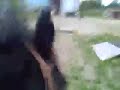 Bareback Jump 2+