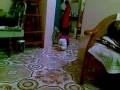 videos de 19112008.mp4