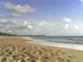 videos de 01-01-09 0621