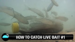 How To Catch Live Bait Effectively Using Plastic Bottle | How To Fishing Video