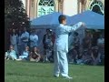daniel romeo, a very little taiji practioner (ten years old) performs the second little pao chui (a routine created by master gianfranco pace).
xi international taiji festival
belgioioso (pavia - italy)
01 may 2007
www.itkataiji.com
see also the treviso's school: www.chentaijiquan.it