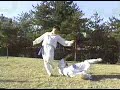 Taekkyon - quedas Taekkyon - quedas