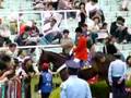 CBC賞動画16