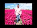 Love Profusion in the Tulip Fields