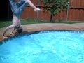 Crazy Pool Flips