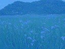 ????????????????????????????????????????songs of okinawa flavored in the language and music of hawaii, performed by teresa bright, peaceful&beautyful!
