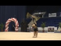 Cupa Romaniei - Rhythmic Gymnastics - 11 November 2011 - Adina Zoica.wmv