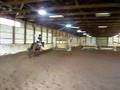 Horse show