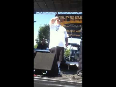 chicago car show chicago car show