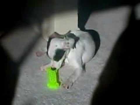 Dogs and Oranges, do they use SEO? YouTube Preview Image