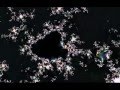 Zoom out to Face View Video