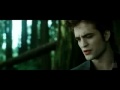 'New Moon' parody.mov