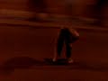 PAYIITA SKATE