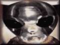 videos de Malevolent Little Alien.