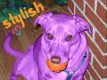 Remembering Taffy