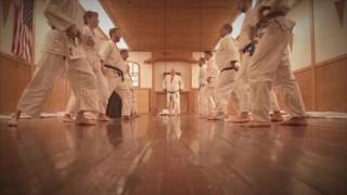 Here's the video from the last Kenshusei at the legendary Tenshinkan Dojo in Chicago