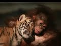 In love with a friend