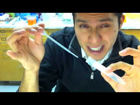 White Blood Cell Extraction (Ficoll Protocol)