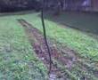Picada-de-Cobra
