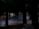 FIRE! FIRE!