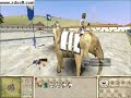 Elephants RTW Elephants RTW