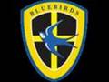Cardiff City Football Club