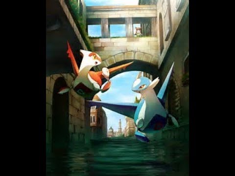 動画