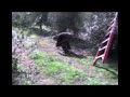 mas estupido que caerse de la escalera