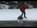 crazy alaskans