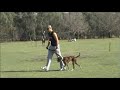 Joden Palace Music Obedience School