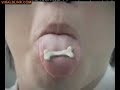 Mentos japonez =)))