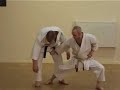 Bunkai to Shotokan Kata Empi - Thumb #3