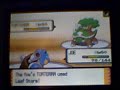 pokemon wifi match with my cus