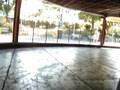 videos de Bumper cars