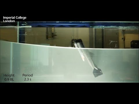 Robotik: Der fliegende Roboterfisch hebt ab