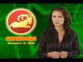Capricorn Horoscope November 18, 2008