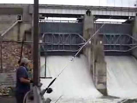 Youtube - Video: Lake Lavon Texas Flood Spillway Gate opening