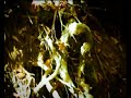 October Falls - Marras