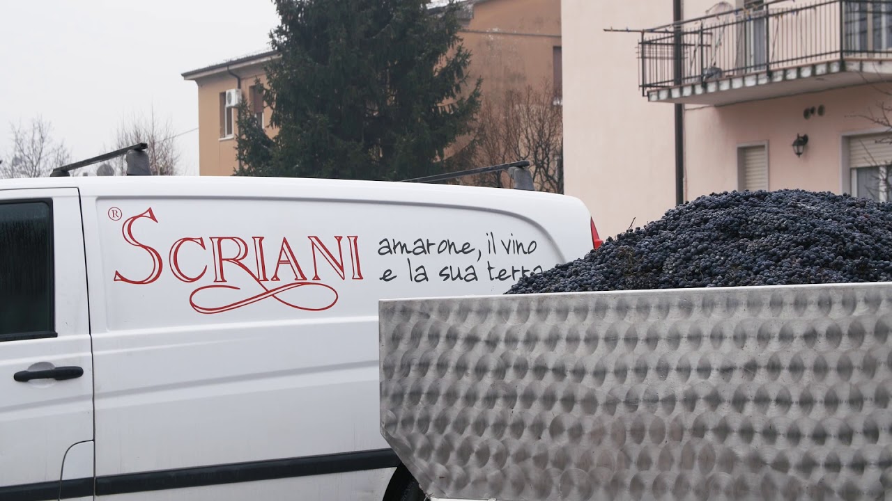 Scriani Seasons in Wine