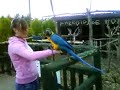 Parrot zoo - Beth holding a Macaw