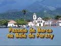 Golfinhos em Paraty e Pouso da Cajaíba