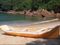 Golfinhos em Paraty e Pouso da Cajaíba