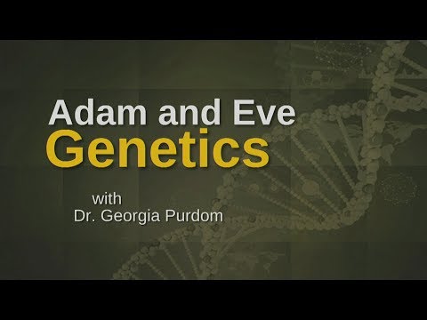 Origins: Adam & Eve Genetics