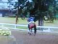 Diva's first schooling show