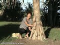Nature\
