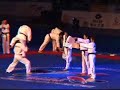 Korean Tigers taekwondo demo Korean Tigers taekwondo demo