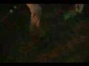 these are clips from leona and gordon's wedding after party at the conrad hotel and resort in bali indonesia. august 10, 2007