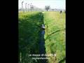 Auschwitz - Viaggio della memoria 2004