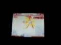 Bleach DS 2nd Kukaku Combo 1