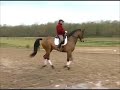 PLR Patrick LE ROLLAND - Leçon 4/6 Dressage Cheval Horse